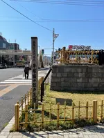 江戸見附緑地の写真・動画_image_416571