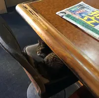 タケヤの写真・動画_image_416611
