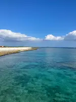 ナガンヌ島の写真・動画_image_416627