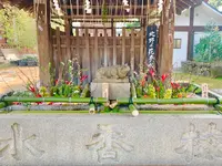 北野天満宮の写真・動画_image_416665