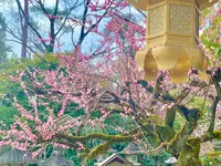 北野天満宮の写真・動画_image_416669