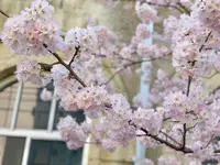 旧京都市立下京中学校成徳学舎の写真・動画_image_416720