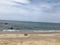 糸島市の写真・動画_image_416752