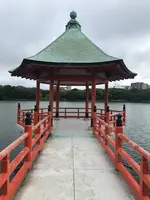 大濠公園の写真・動画_image_416784