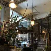 YANEの写真・動画_image_416836