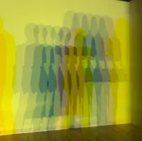 東京都現代美術館の写真・動画_image_416838