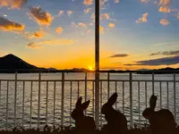 大久野島 第二桟橋の写真・動画_image_416954