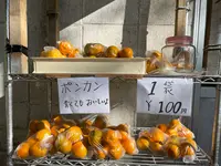 中間ガジュマルの写真・動画_image_417087