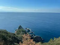 西部林道の写真・動画_image_417093
