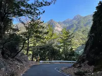 西部林道の写真・動画_image_417095