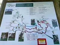 ヤクスギランド（屋久島自然休養林）の写真・動画_image_417115