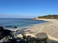 中間ガジュマルの写真・動画_image_417201