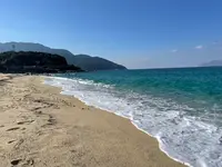 永田・いなか浜の写真・動画_image_417215