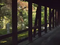 東福寺の写真・動画_image_417219