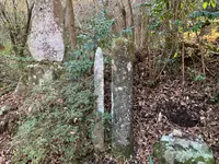 足柄峠の写真・動画_image_417241