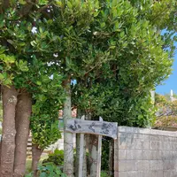ふくぎの写真・動画_image_417376