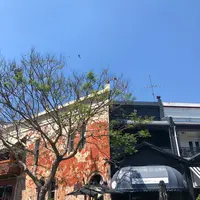 Sonderの写真・動画_image_417425
