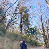 メッツァビレッジの写真・動画_image_417602