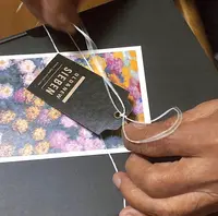 siebenの写真・動画_image_417659