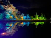 まほろば古の里歴史公園の写真・動画_image_417724