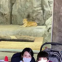 よこはま動物園ズーラシアの写真・動画_image_417729