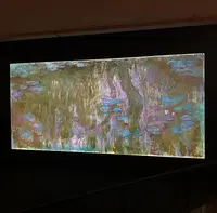 国立西洋美術館の写真・動画_image_417815