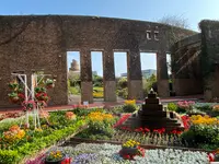 熱帯ドリームセンターの写真・動画_image_417879