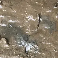 わんさか大浦パークの写真・動画_image_417887