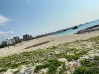 アラハビーチの写真・動画_image_417920