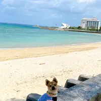 ムーンビーチの写真・動画_image_417949