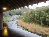 松葉ごろん亭の写真・動画_image_418584