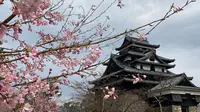 松江城の写真・動画_image_418875