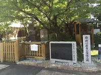宝台院の写真・動画_image_418926