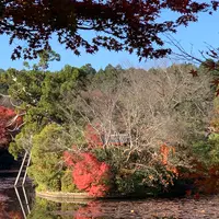 龍安寺の写真・動画_image_419111