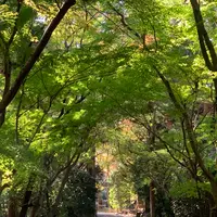 龍安寺の写真・動画_image_419115