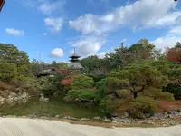 仁和寺の写真・動画_image_419119