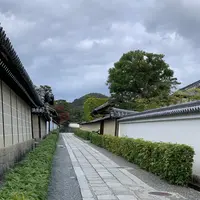 妙心寺の写真・動画_image_419124