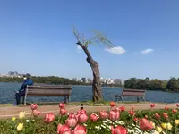 大濠公園の写真・動画_image_419290