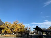 西本願寺の写真・動画_image_419400