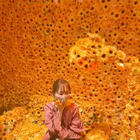 草間彌生美術館の写真・動画_image_419414