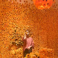 草間彌生美術館の写真・動画_image_419415