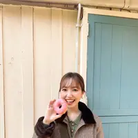 ドーナツ もりの写真・動画_image_419429