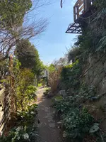 猫の細道の写真・動画_image_419538