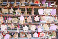 貴船神社の写真・動画_image_419800
