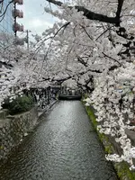 高瀬川一之船入の写真・動画_image_419939