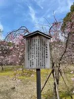 南神苑の写真・動画_image_419943