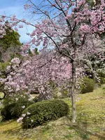 南神苑の写真・動画_image_419948