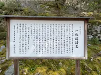 知恩院 勢至堂の写真・動画_image_419958
