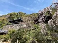 法然上人御廟の写真・動画_image_419962