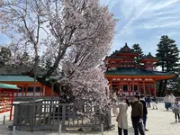 平安神宮の写真・動画_image_420001